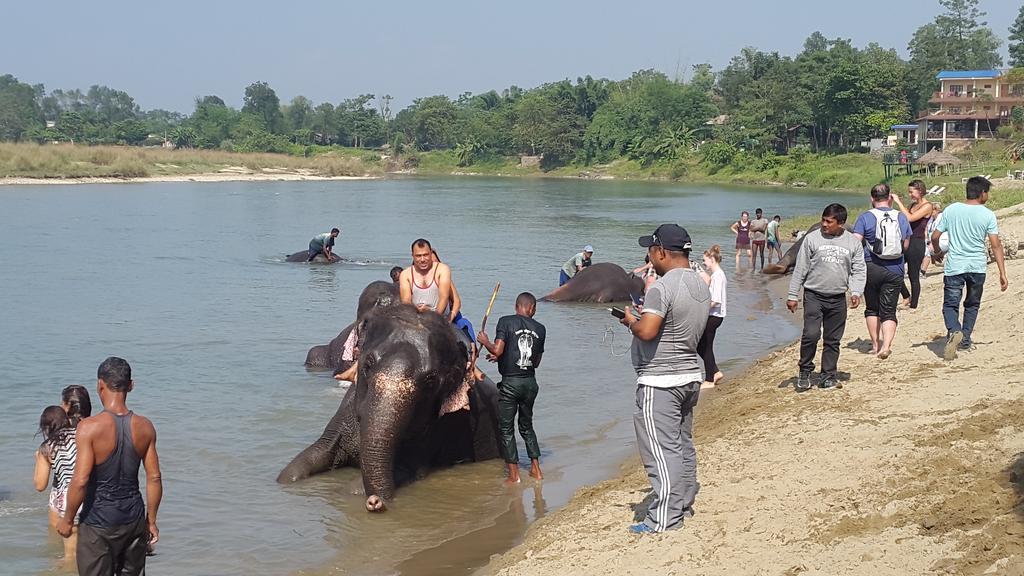 Отель Jungle Wildlife Camp Саураха Экстерьер фото